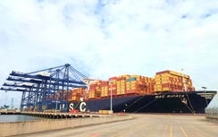 Lập Tổ công tác nghiên cứu điều chỉnh giá bốc dỡ container tại cảng nước sâu