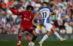 Nhận định, soi tỷ lệ Brighton và Liverpool (2h ngày 20/5), Ngoại hạng Anh 2024-2025