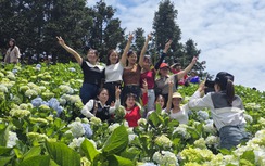 Đến Bắc Hà khám phá thiên đường thung lũng hoa, thưởng thức đặc sản thắng cố