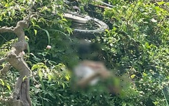 Người đàn ông tử vong dưới xe máy bên lề đường ở Hà Nam