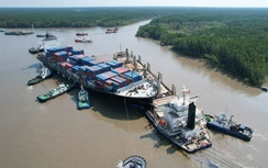 Deputy Minister Nguyen Xuan Sang issued an urgent directive regarding the ship collision