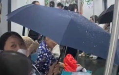 Xử lý dứt điểm tình trạng nước chảy trên tàu Cát Linh - Hà Đông trong ngày 20/5