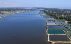 Quảng Nam tổ chức cuộc thi thiết kế cầu 400 tỷ đồng nối đôi bờ sông Trường Giang