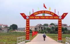 Bắc Giang: Huy động, đầu tư gần 700 tỷ đồng thực hiện chương trình xây dựng nông thôn mới