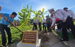 Ấn tượng sắc xanh Trường Sa