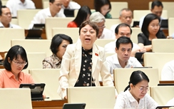 ĐBQH: Thanh tra theo kế hoạch không hiệu quả vì mất yếu tố bất ngờ