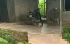 Án mạng trong cuộc nhậu, một người bị đâm tử vong