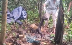 Phát hiện bộ hài cốt giữa rừng sâu nghi là đối tượng truy nã