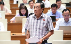 Đại biểu dẫn chứng vụ Trương Mỹ Lan, đề nghị không bỏ tử hình tội tham ô, nhận hối lộ