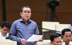 Nghị trường “nóng” đề xuất bỏ hay giữ tử hình tội vận chuyển trái phép chất ma túy