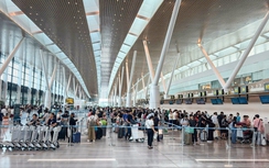 Sân bay Tân Sơn Nhất dự kiến đón 10 triệu khách trong cao điểm hè