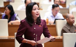 Phân cấp tối đa trong lập, thẩm định quy hoạch nhưng phải có cơ chế kiểm soát