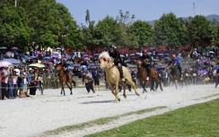 Độc đáo đua ngựa giữa núi rừng Bắc Hà