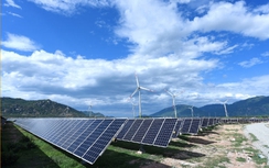 Quy định bắt buộc, tăng chế tài thay vì chỉ khuyến khích tiết kiệm năng lượng