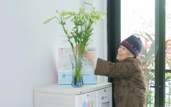 Doanh nghiệp bất động sản tính phát triển nhà ở cho người cao tuổi