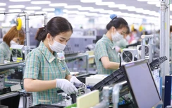 Xuất khẩu sụt giảm, doanh nghiệp rút khỏi thị trường tăng mạnh