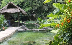 Cảnh hoang sơ tại suối nước nóng hút khách du lịch ở Sơn La