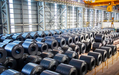 Các doanh nghiệp vẫn tự tin về khả năng thích ứng thuế quan