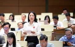 Từ vụ đầu độc xyanua, ĐBQH đề nghị kiểm soát chặt việc mua bán hóa chất