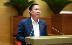 Đề xuất giảm mức tăng thuế tiêu thụ đặc biệt với xe pick-up