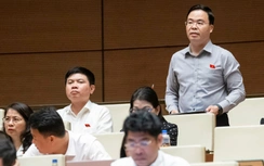 ĐBQH lo tăng thuế quá nhanh sẽ chặn đà phát triển xe điện