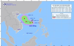 Có thể hình thành bão trong hai ngày tới