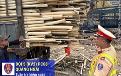 Xe tải hết hạn kiểm định, chở quá tải gần 200%, tài xế bị phạt 110 triệu đồng