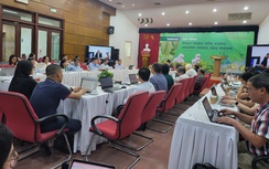 Ngành sầu riêng tỷ đô đứng trước nguy cơ sụp đổ nếu không thay đổi