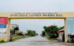 Long An: Yêu cầu giải quyết dứt điểm tình trạng ô nhiễm tại cụm công nghiệp ở Đức Hòa