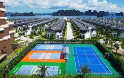 Pickleball đang trở thành điểm nhấn hạ tầng du lịch
