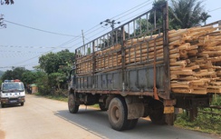 Quảng Ngãi lập lại trật tự giao thông, xử nghiêm xe quá tải, quá khổ