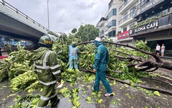Bộ Xây dựng yêu cầu đảm bảo an toàn công trình và giao thông trước bão số 1
