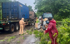 CSGT Quảng Nam dọn cây đổ, phân luồng đảm bảo an toàn cho người dân sau mưa lũ