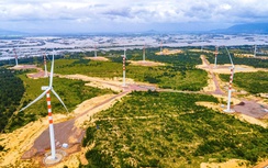 Bình Định tìm nhà đầu tư cho dự án Nhà máy điện gió gần 6.000 tỷ đồng
