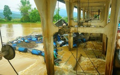 Đà Nẵng điều lực lượng xử lý lồng bè va vào đập dâng An Trạch