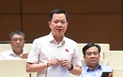 Đại biểu Quốc hội đề nghị rà soát việc giám sát liên quan giao thông