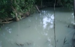 Long An: Gây ô nhiễm môi trường, một công ty bị phạt 155 triệu đồng