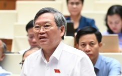 Vấn đề hàng giả, hàng nhái lại "nóng" nghị trường