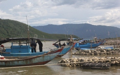 Loay hoay gỡ “nút thắt” luồng lạch để phát huy hiệu quả cảng cá ở Hà Tĩnh