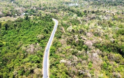 Đề xuất hơn 29.000 tỷ đồng làm cao tốc nối Đắk Lắk - Phú Yên sau sáp nhập