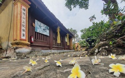 Chùa Động Ngọ di sản văn hóa hơn 1.000 năm tuổi ở Hải Dương