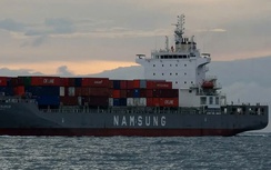 11 ngư dân tàu cá Quảng Ninh bị chìm trên biển thoát chết trong gang tấc