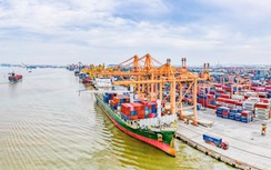 Phụ phí bốc dỡ container tăng gần gấp rưỡi trong 10 năm