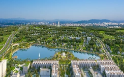 Không gian xanh đô thị: Giá trị sống bị lãng quên giữa những tòa cao ốc