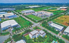 Triển vọng thị trường bất động sản công nghiệp sau sáp nhập