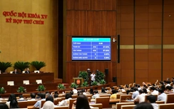 Thông qua Luật Quốc tịch Việt Nam, nới điều kiện xin nhập tịch