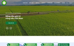 Công ty Cổ phần Chứng nhận và kiểm nghiệm FAO bị phạt 75 triệu đồng