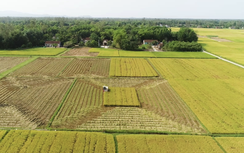 Kéo dài thời hạn miễn thuế sử dụng đất nông nghiệp đến hết năm 2030