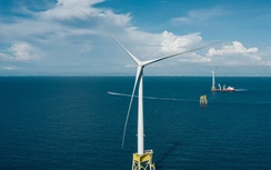 Chính thức chốt giá điện gió ngoài khơi theo khu vực, cao nhất gần 4.000 đồng/kWh