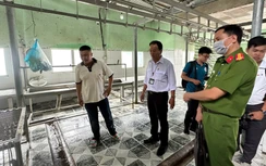 Khi phát hiện lợn bệnh, phải tiêu hủy thế nào?